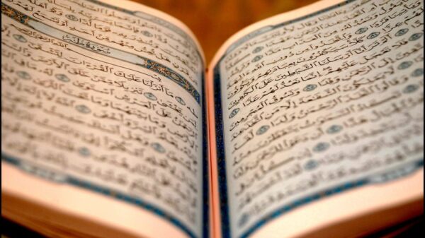 What to Look for When Choosing Quran Teachers?