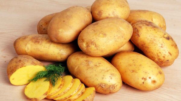 Why Are Potatoes Beneficial For Your Health?