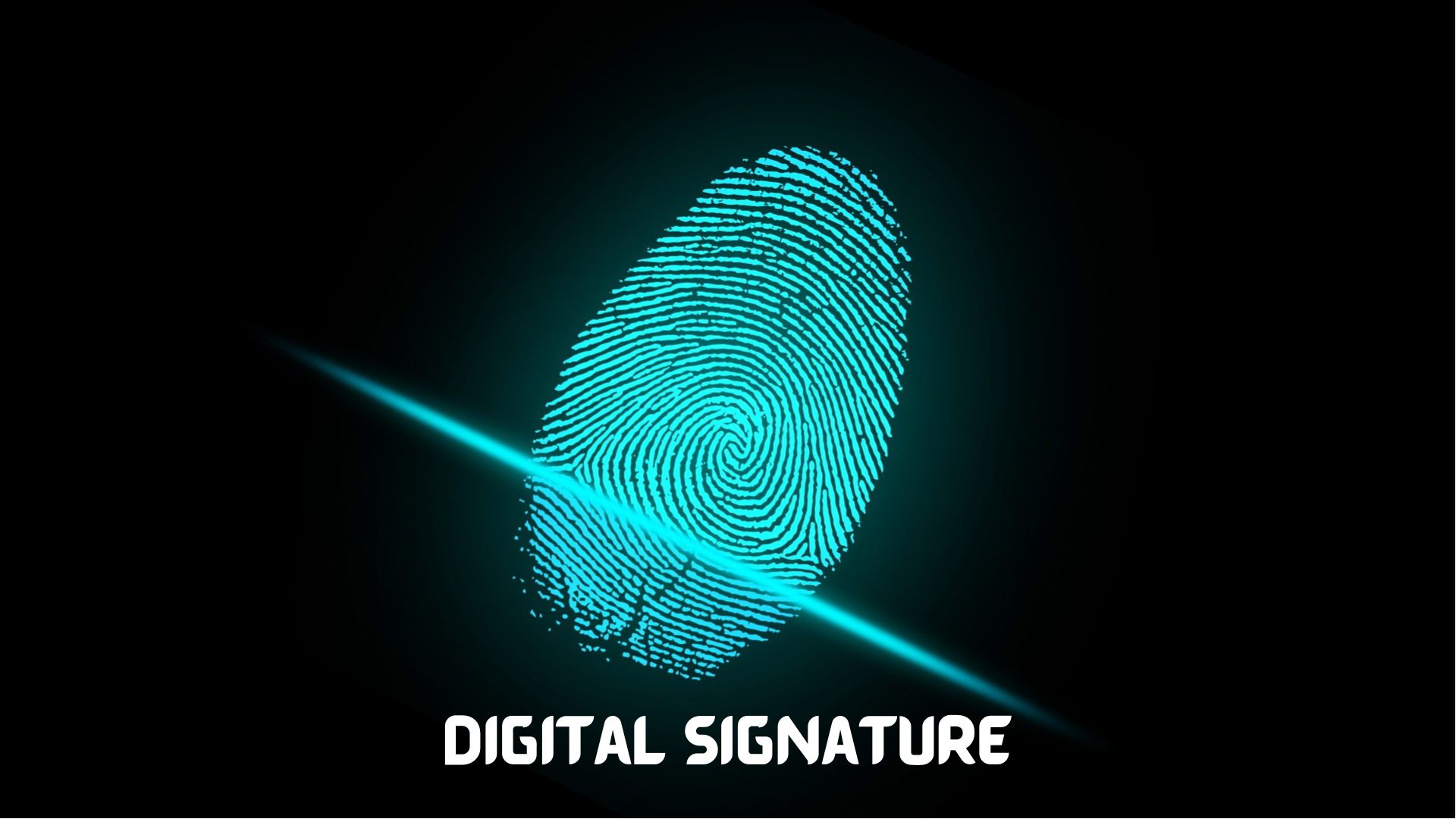 What is Digital Signature and how does Digital Signature work