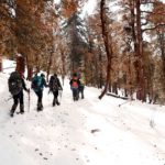 Kedarkantha Trek