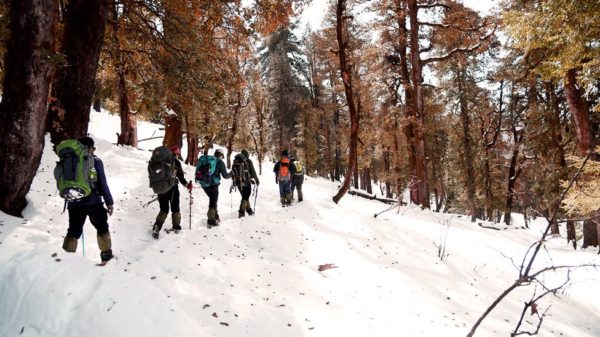 Kedarkantha Trek