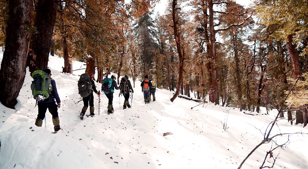 Kedarkantha Trek