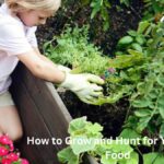 How to Grow and Hunt for Your Own Food