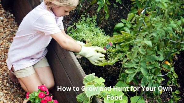 How to Grow and Hunt for Your Own Food