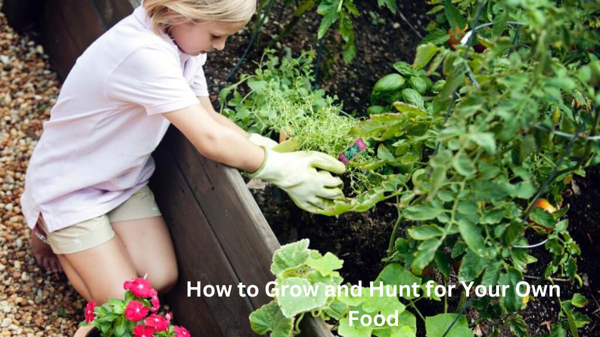 How to Grow and Hunt for Your Own Food