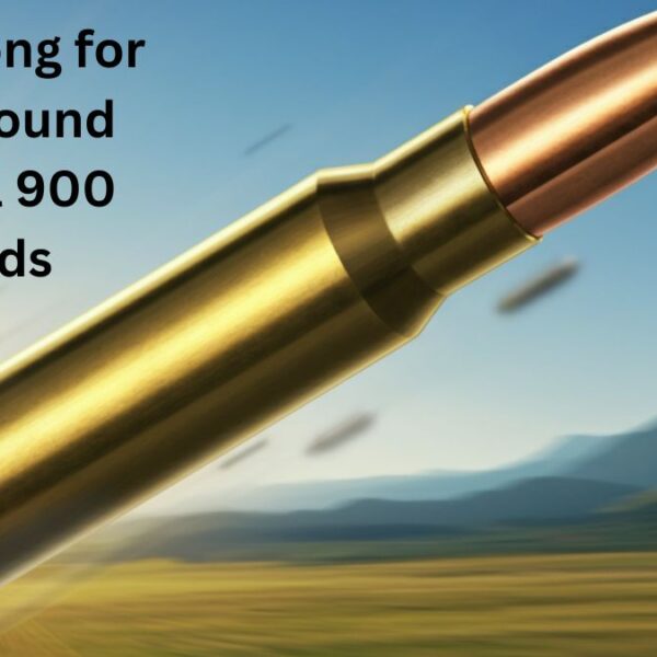 How Long for 308 Round Travel 900 Yards