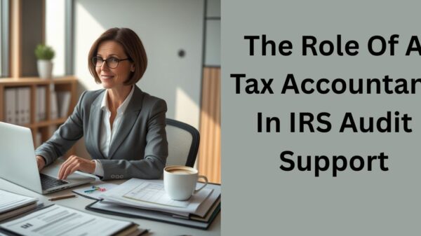 The Role Of A Tax Accountant In IRS Audit Support