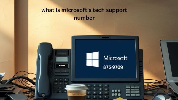 what is microsoft's tech support number
