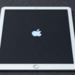 iPad Air White Spot